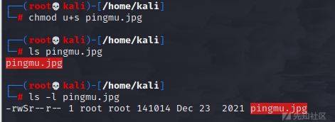 vpf0u0mmh1g8055.png